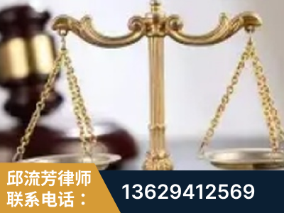 泸州-委托诉讼代理人出庭